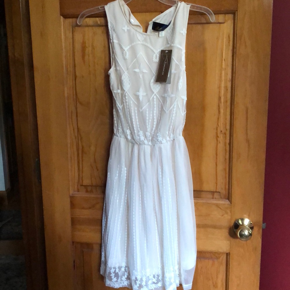 Embroidered lace dress